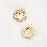 Boucles Ikita Paris - Olbia