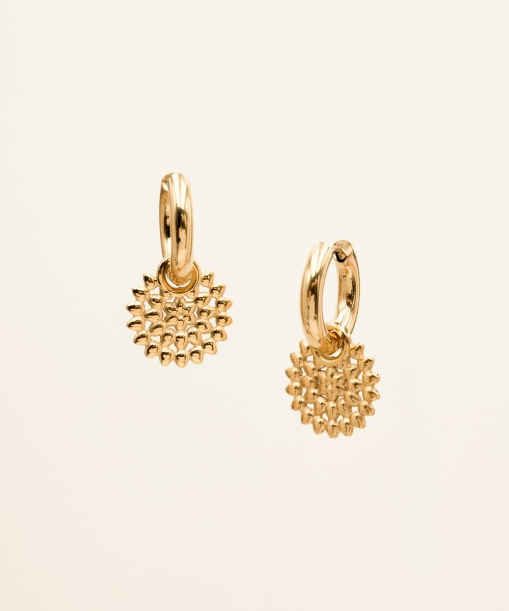 Boucles Ikita Paris - Oaklie